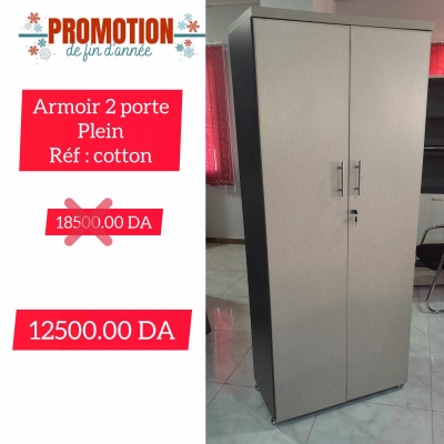 ARMOIR 2 PORTE PLEIN