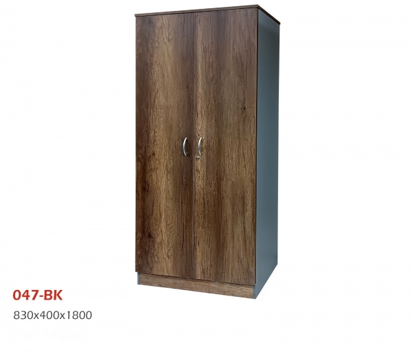 ARMOIRE 2 PORTS PLEINE