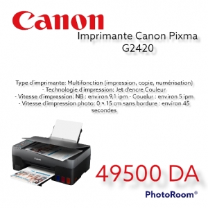 IMPRIMANTE Canon PIXMA MG2420