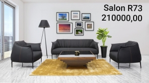 Salon importation R73