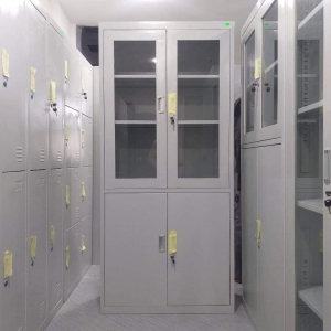 Armoire m&eacute;tallique semi vitr&eacute;e