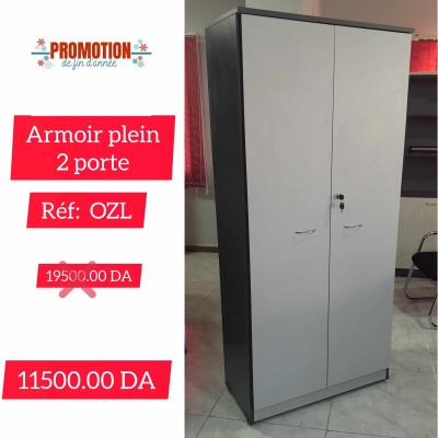 ARMOIR 2 PORTE PLEIN